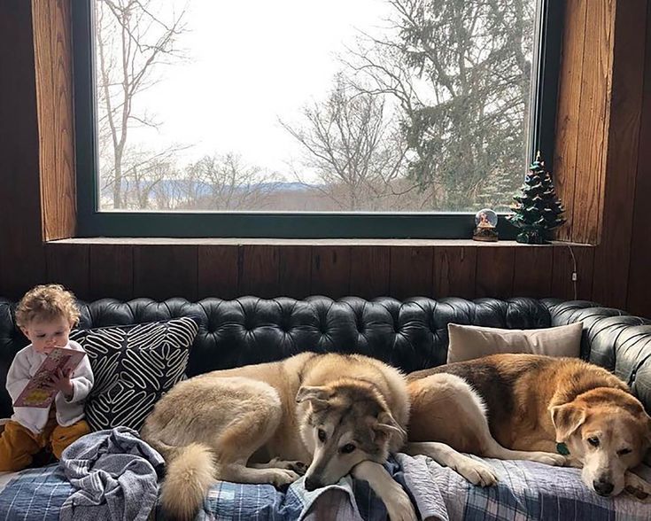 Best Washable Couches