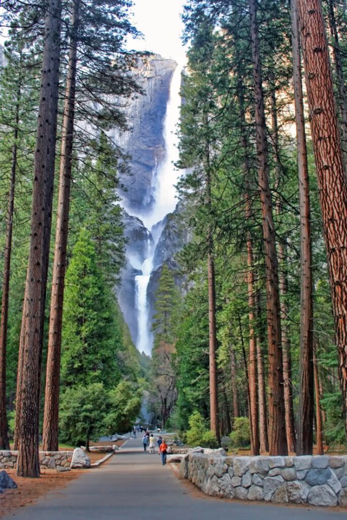 California National Parks Road Trip
