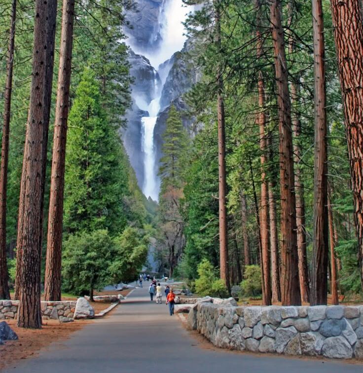 California National Parks Road Trip: A 7-Day Adventure Through the Best Parks California National Parks Road Trip