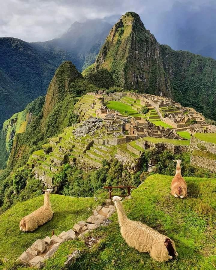Fun Facts About Peru