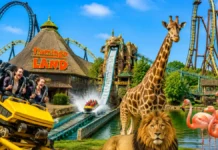 Flamingo Land: A Complete Guide to Yorkshire’s Popular Theme Park and Zoo Resort Flamingo Land