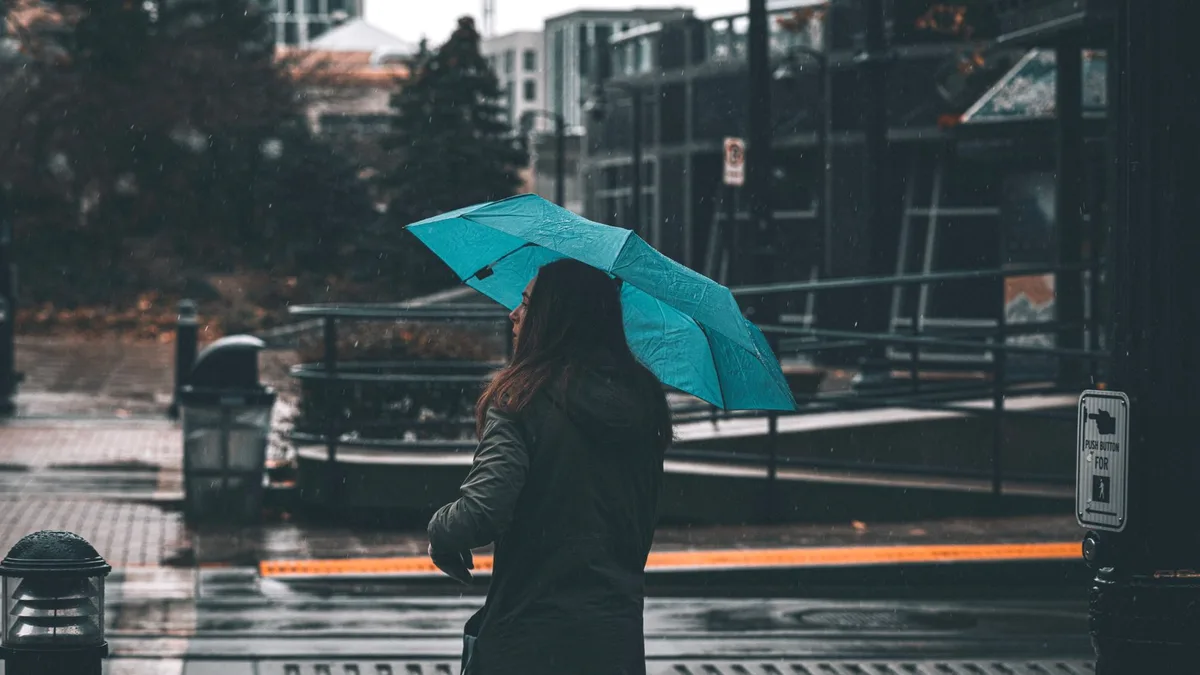 Woman with an umbrella walking a city street on a rainy day