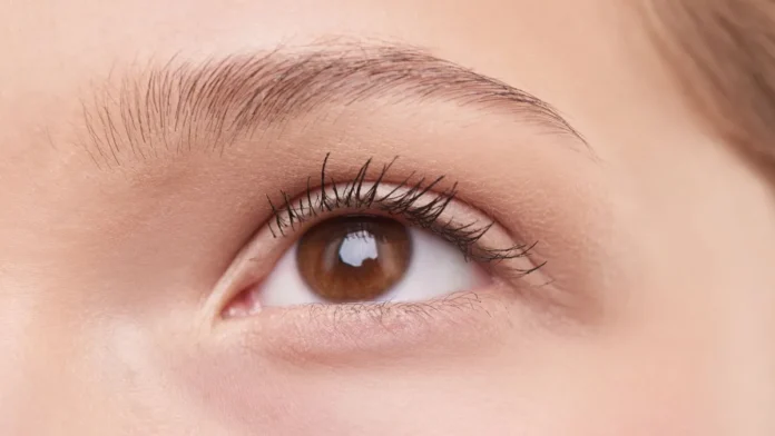 Lash and Brow Serums Close-up of an eye with long, healthy lashes