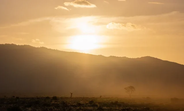 Blackest Person in the World? The Myth and the Real Science Blackest person in the world myth and science - sunset over the East African savannah