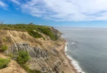 Dick Cavett Net Worth 2026: The Talk Host’s $44m Land Dick Cavett net worth - dramatic ocean bluffs on the Atlantic coast