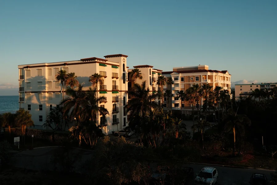 Don King net worth - sunlit buildings with palm trees in Florida