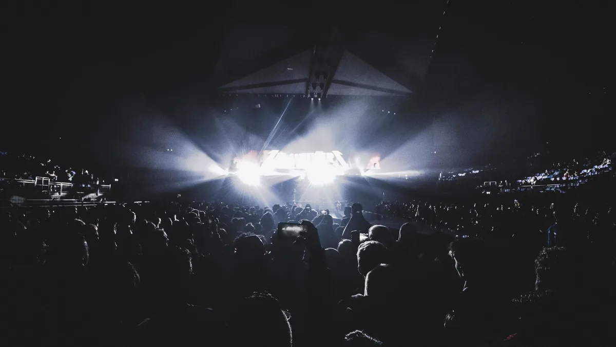 Crowd at a live music concert under stage lights