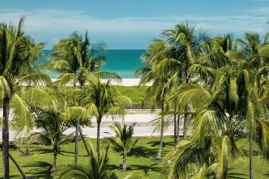 George McCrae net worth - palm trees on a Florida beach