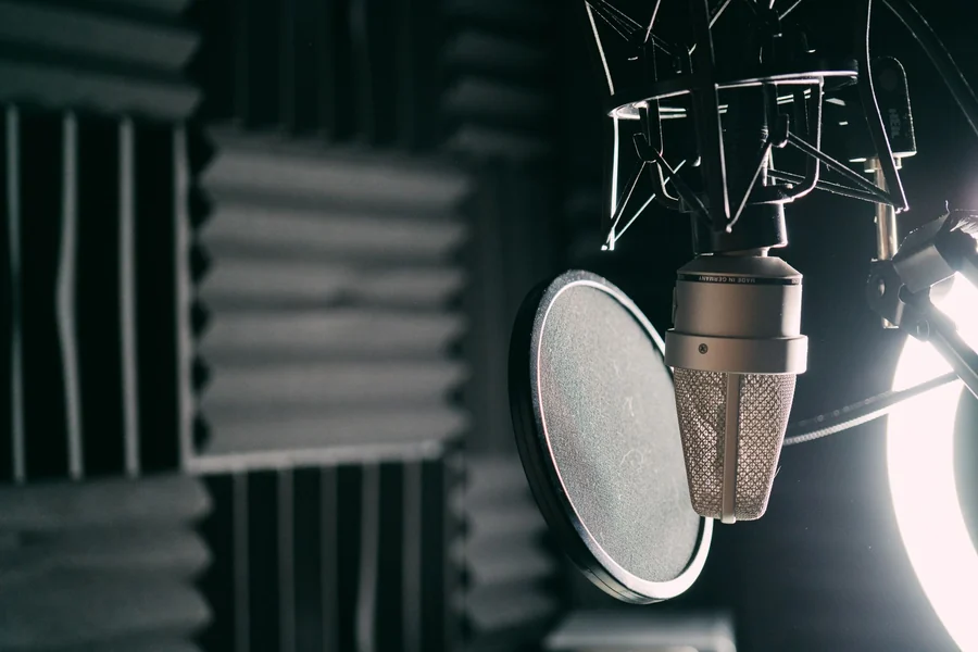 Jay-Z net worth - condenser microphone with pop filter in a studio