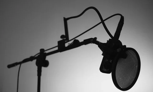 Jay-Z Net Worth 2026: The Four Deals That Built $2.8bn Jay-Z net worth - professional studio microphone on a boom arm in black and white