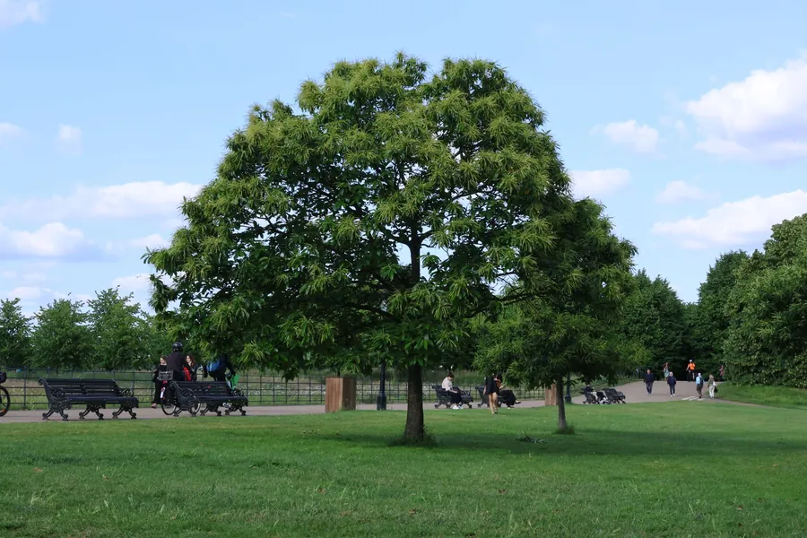 Kesha net worth - people enjoying a sunny London park in summer