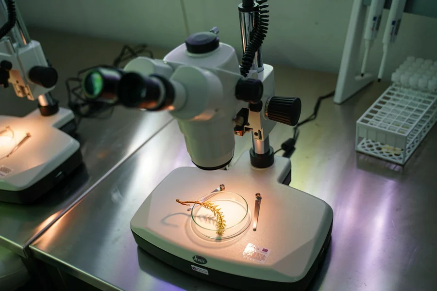Memory matching game - microscopes and samples in a laboratory