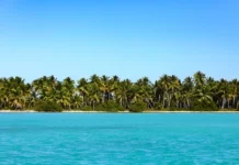 Tina Louise Net Worth 2026: Ginger, $750 a Week, at 92 Tina Louise net worth - tropical island beach lined with palm trees