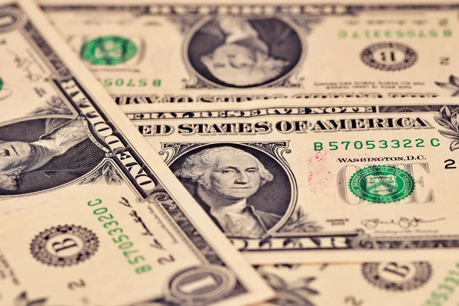 Tina Louise net worth - close-up of US one dollar bills