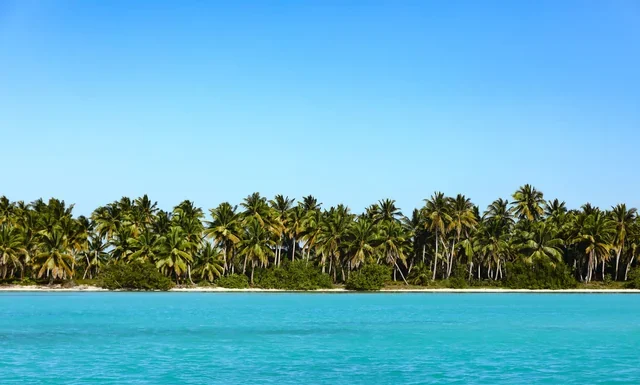 Tina Louise Net Worth 2026: Ginger, $750 a Week, at 92 Tina Louise net worth - tropical island beach lined with palm trees