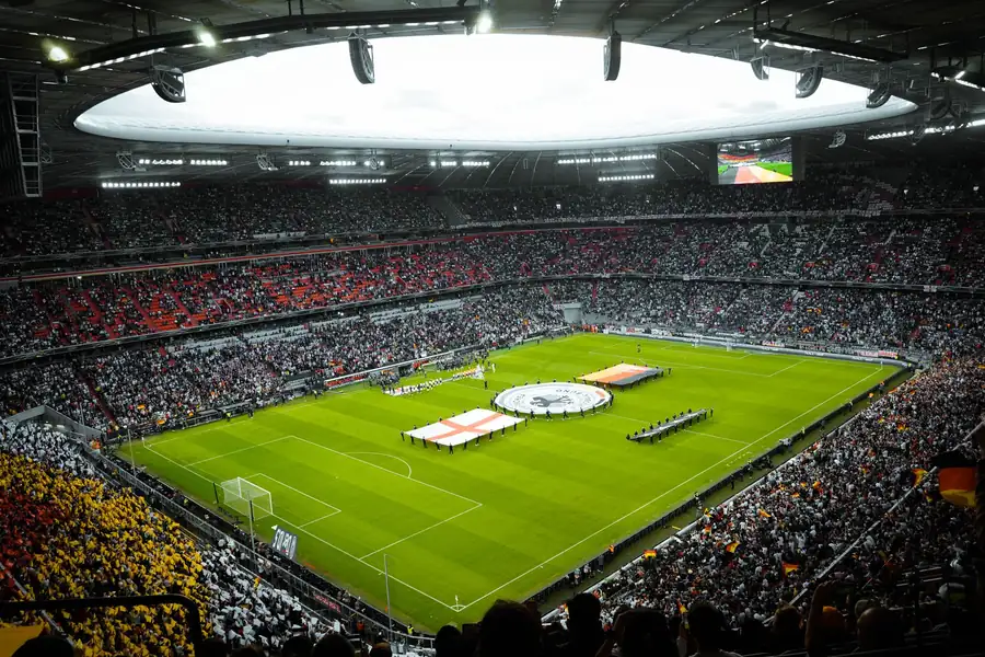 Vinnie Jones net worth - football stadium full of fans with flags